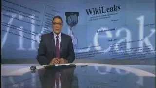 Immigration Attorney Michael Wildes on Al Jazeera commenting on WikiLeaks Issue