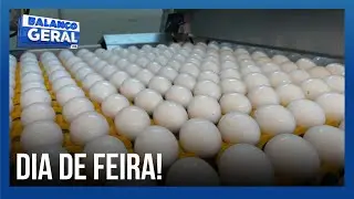 Ovo mais barato alivia o bolso do consumidor