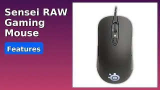 REVIEW (2025): Sensei RAW Gaming Mouse. Features.