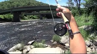 W4F - Fly Fishing 