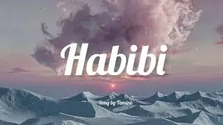 Habibi Remix (slowed+reverb) (One hour )