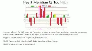 Tomii Heart meridian energy chi unbalance training