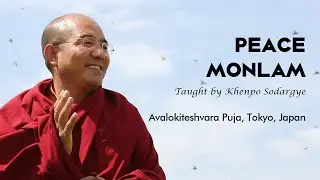 Praying for Peace: Buddhist Wisdom in a Turbulent World | 和平祈愿：动荡世界中的佛教智慧