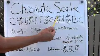 Learn the Chromatic Scale part l  - Basic Guitar Lesson for Beginners - L149