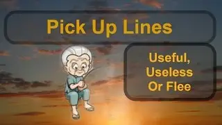 Pick Up Lines Useful, Useless Or Flee
