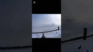 к природ охотничий опыт. Приятного просмотра и не забудьте поддержать видео лайком и подпиской! 🦆🌿