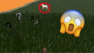 Catching my 5TH IUH in WILD HORSE ISLANDS ROBLOX!