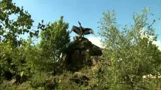 Field Station: Dinosaurs :30 TV Spot
