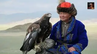 Majestic Hunters Top 10 Amazing Facts About Eagles