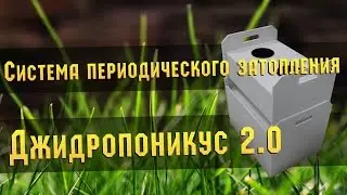 #10 Система периодического затопления | Джидропоникус 2.0