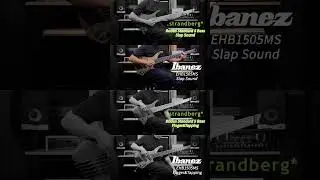 Strandberg Boden Standard 5 vs Ibanez EHB1505MS
