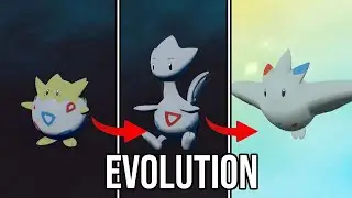 Togepi | Togetic | Togekiss | Evolution in Pokemon Legends: Arceus | PLA