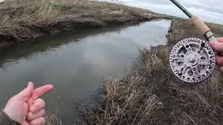 Новогодняя рыбалка на голавля