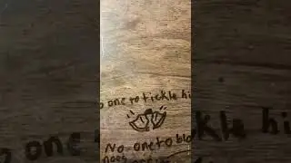 poor little bug on the wall