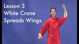 Lesson 3 of 13: White Crane Spreads Wings (English)