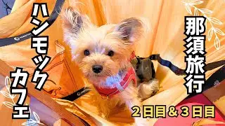 【ヨーキー】那須旅行ラスト🐾そして山から海へ？【癒し】