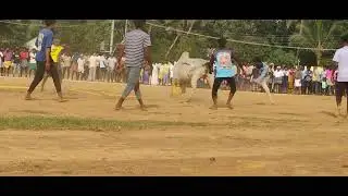 குருங்குளம் ஸ்ரீ வேத முத்து மாரியம்மன் குழு வீரர்கள் VS MS சின்னா காளை