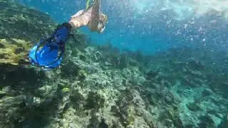 Sea Base 2023 - Marsh Harbor, Bahamas - Snorkeling and Out Island Exploring. Video GX010510