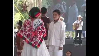 NOCHECITA HUAPANGUERA