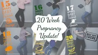20 Week Pregnancy Update & Bump Shot! | SmallTownBeeeauty