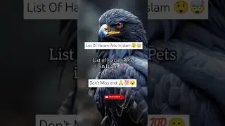 List Of Haram Pets In Islam 😲🤯😮 (Part 3) #shorts #viralshorts #youtubeshorts #islamicshorts #foryou
