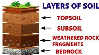 Different Layers Of Soil | What is Soil | Uses of Soil | Evs educational video for Class 3 - 4 #soil