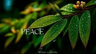 Soothing Guitar for Stress Relief  | Gentle Acoustic Melodies & Calming Nature Ambience