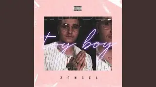 Toy Boy