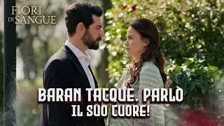 Baran non &egrave; riuscito a dichiararsi a Dilan! | Sottotitolato in italiano | Kan Cicekleri