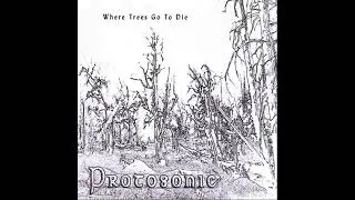 Protosonic - PSCHT!