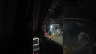 Bajrang Dal #trending #shorts #viral #ajaypal #tiktokeffects