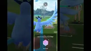 Regirock is a Beast in Ultra League - Pokemon GO