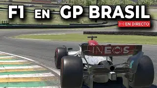 🔴F1 - GP Brasil al 100% en iRACING