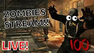 DIE RISE, PACK EVERYTHING. (Bo2 Stream)