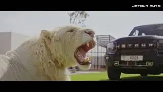 JETOUR T2 engages in a fierce showdown with the majestic lions and tigers of Dubai