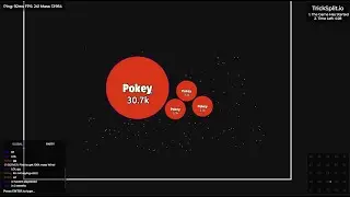 Wager winnings 2 - Tricksplit.io