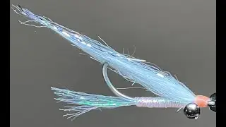 Gotcha Fly
