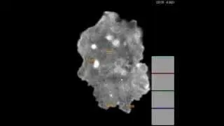 JCB : The dendritic cell cytoskeleton promotes T cell adhesion and activation by constraining...