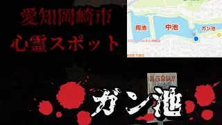 【心霊探訪No.40】地元の超有名YouTuberもきてる『ガン池』