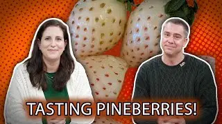 The End of Pizza, a Crushed Delivery Robot, and Tasting Pineberries