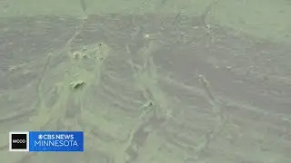 Good Question: How do algae blooms form?