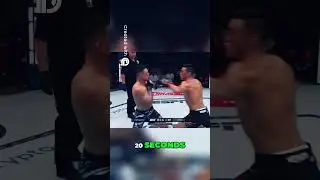Rongzhu vs  Steele