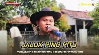JALUK PING PITU II VOC.LEE HIN II SINGA BARONG II CIBODAS PURWAKARTA 