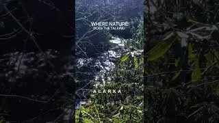 Where Nature Does The Talking