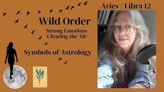 Libra 12. Aries 12. Psychology. Insight. Sabian Degree Symbols. Imagery. Astrology. Zodiac. Gemstone