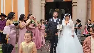 olinala gro