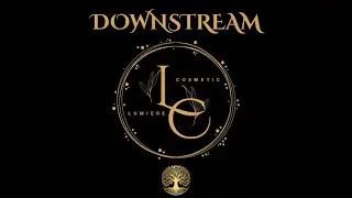 Downstream: Introduction To CVI