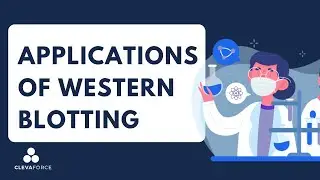 Applications of Western Blotting​