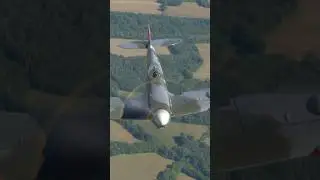 BRITISH SAVIOUR 🇬🇧 Supermarine Spitfire #spitfire #british #saviour