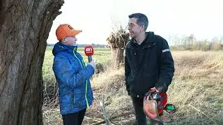Knotwilgen dag Summers Landschap Gezandebaan Someren Eind 2026